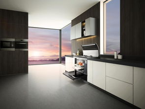 廚衛新寵集成灶 究竟有何魅力，趕緊先睹為快